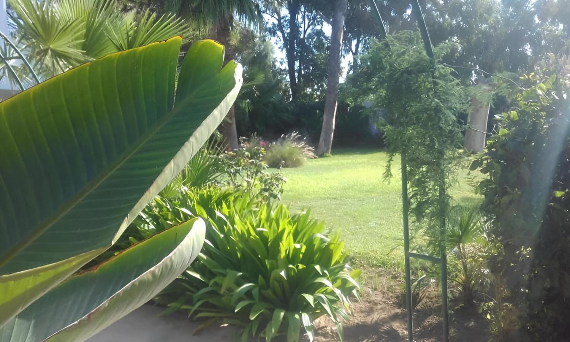 Au Bout Du Jardin Villa Carthago Buitenkant foto