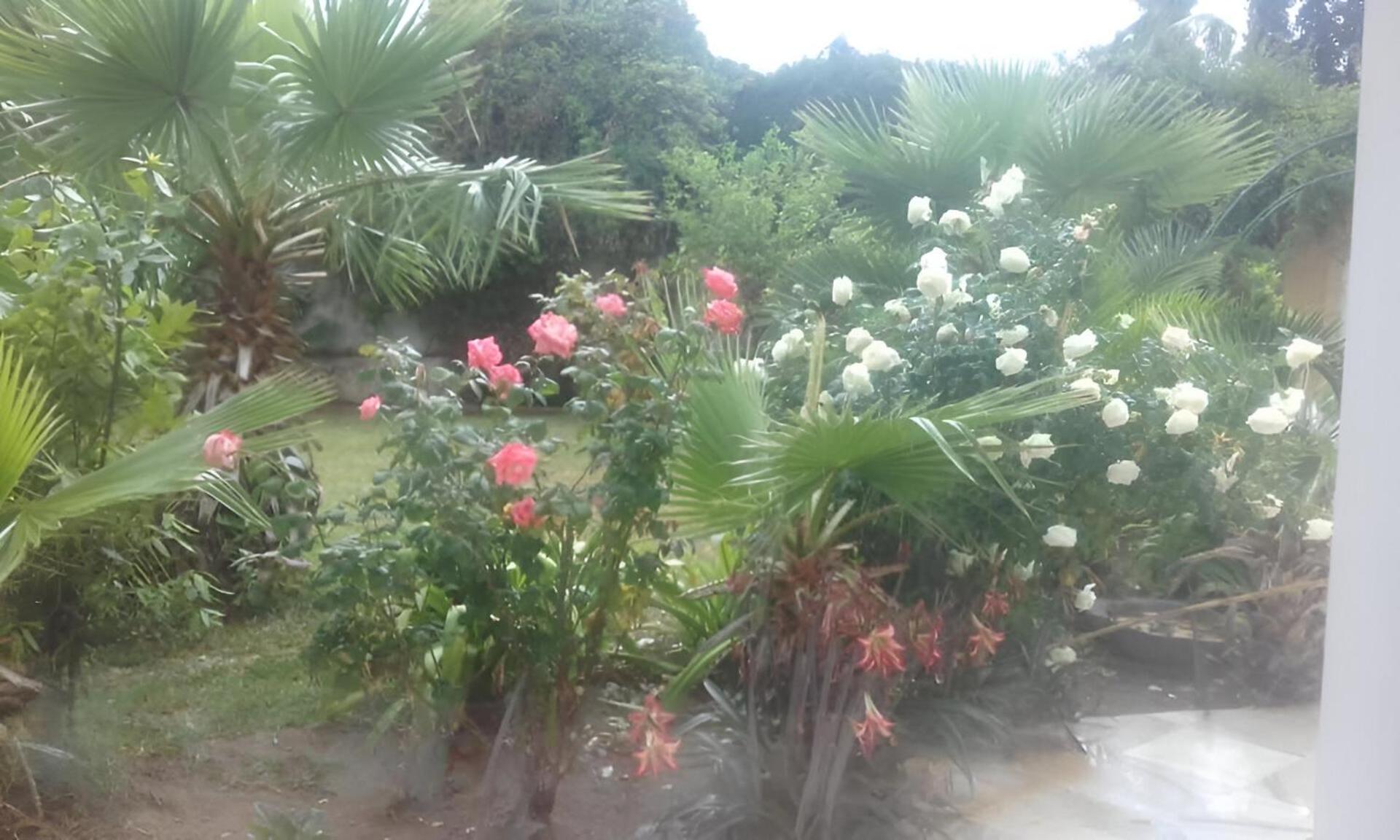 Au Bout Du Jardin Villa Carthago Buitenkant foto